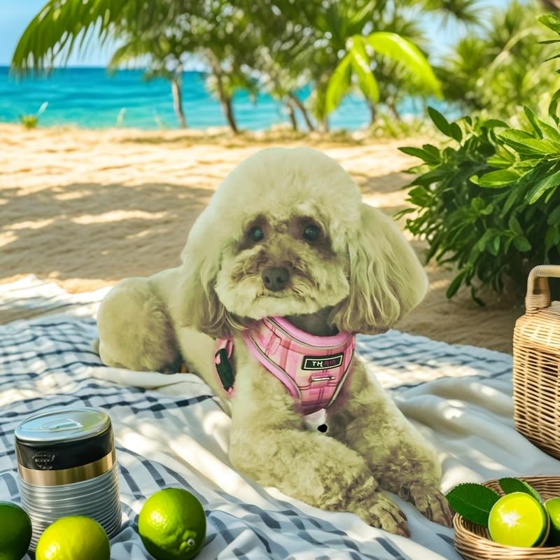 THAIN Dog Harness and Lead Checkered Pattern with Reflective for Medium To Large Dogs Pink Set, Skin-Friendly Mesh, Adjustable, (M, Checkered)