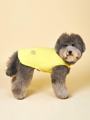 ANGEL DOG Dog Summer Clothes Gaerism Cool Vest Yellow