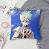 D-Dr. Stone Double-Sided Printed Square Pillow Cover Decorative Cushion Cover For Sofa Bedroom Bedside