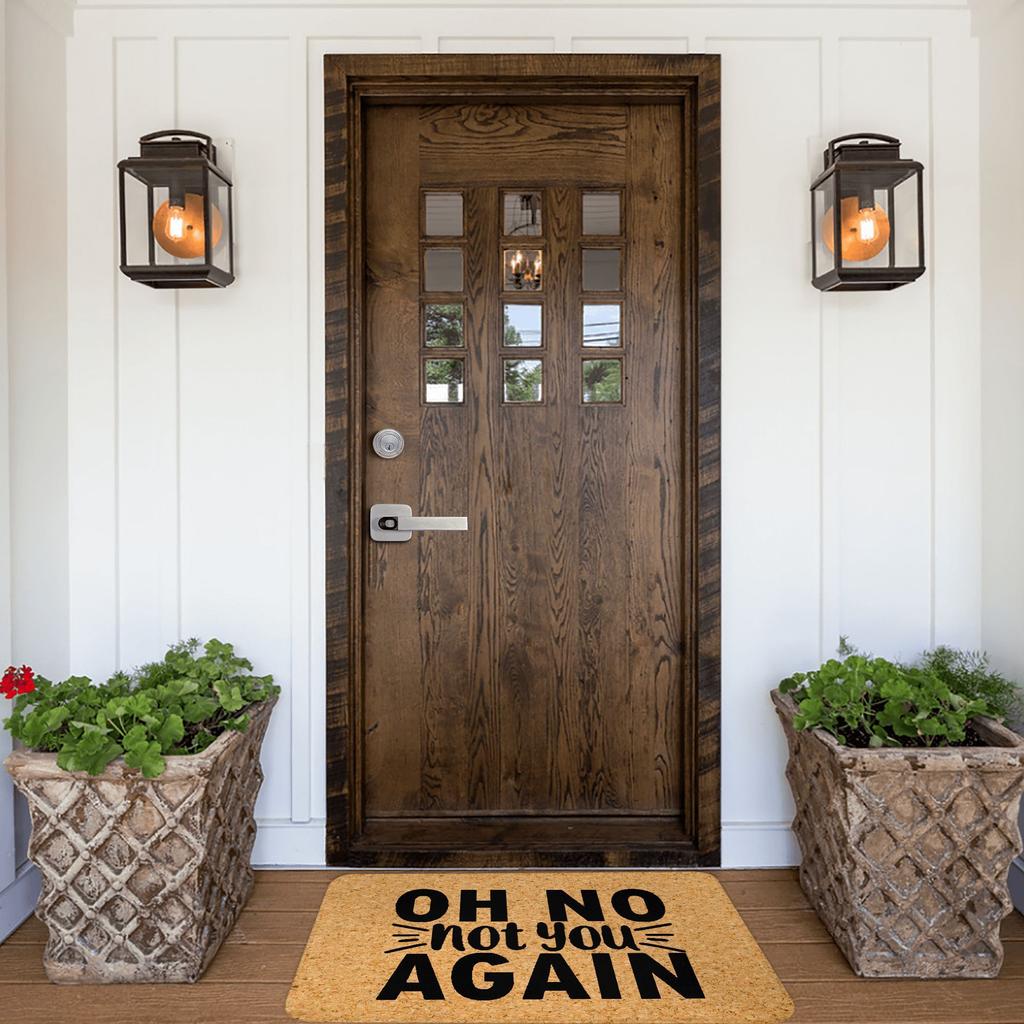 Oh No Not You Again Doormat Non-Slip Bath Kitchen Mat Bedroom Balcony Door Floor Entrance Carpet Rug