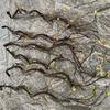 Faux Tree Branches For Garden Decor With Realistic Leaves For Outdoor Scenes