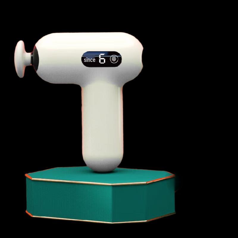 

Meishida Mini Fascia Gun MS-J06