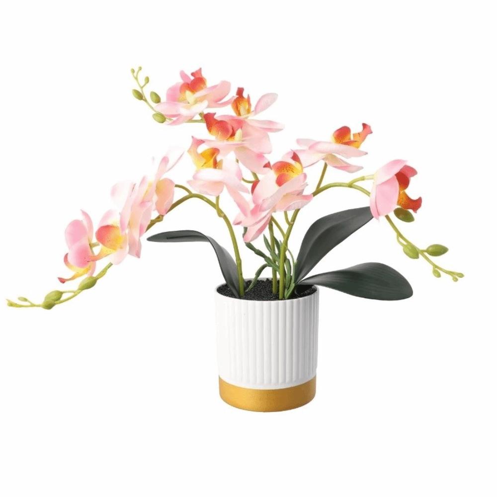 Fiori di Phalaenopsis Fiori Artificiali Bonsai Simulato Orchidea Nuova Falsa Phalaenopsis