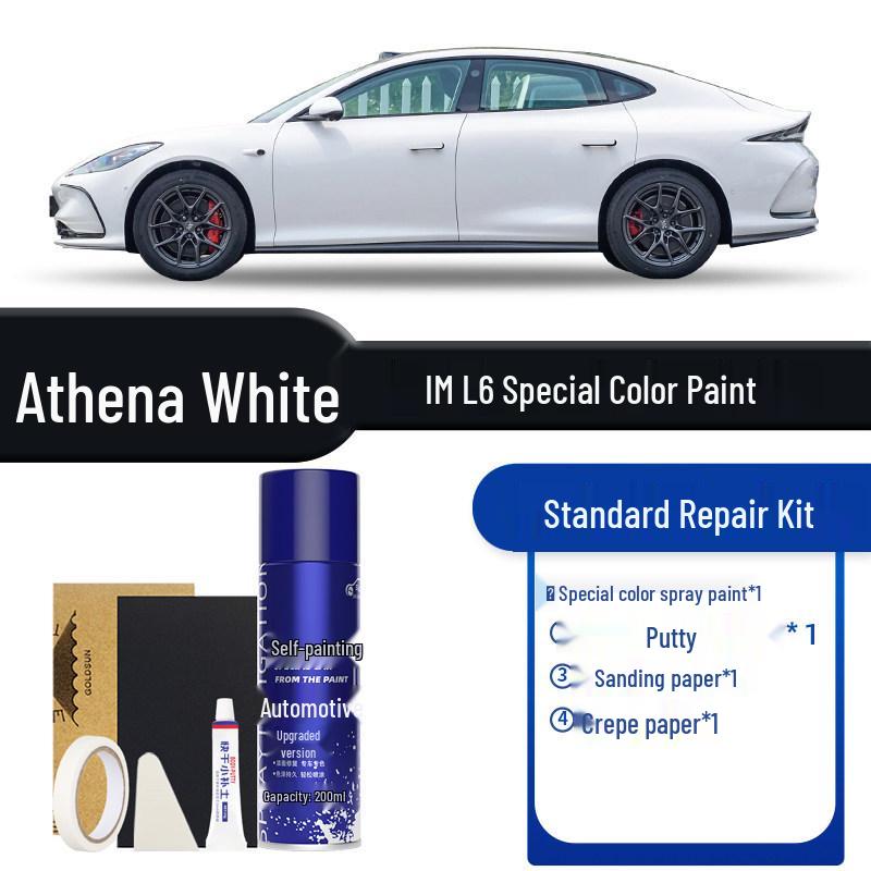 IM L6 Touch-Up Paint Pen - Automotive Spray Paint In Rembrandt Gray, Raphael Tea, Ferdinand Pink, Purple, and Black.