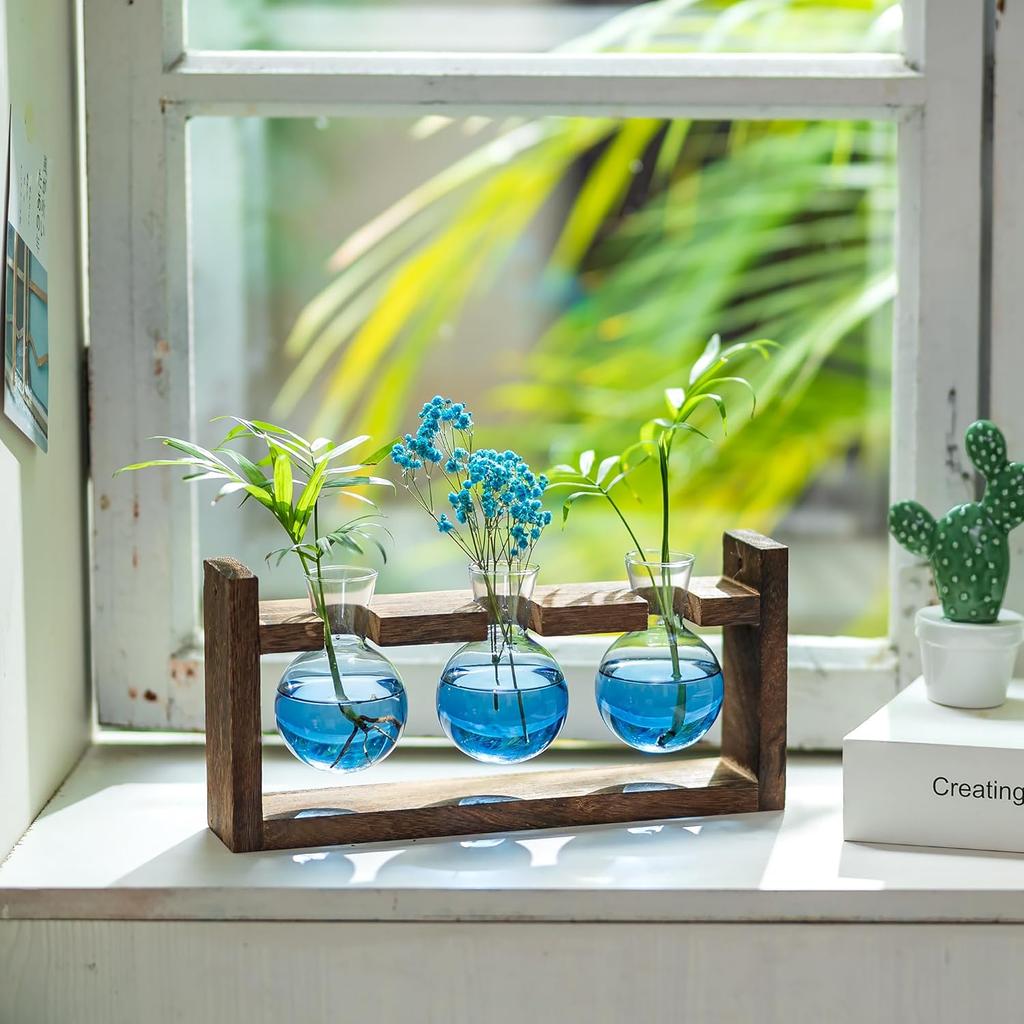 Plant Propagation Station with Wood Stand - Wall Glass Terrarium for Cuttings Air Plants Small Flower Pothos - Gift for Women Plant Lovers (Gradient