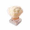 With Rhinestones Base Nail Art Dust Cleaner Brush Nail Cleaning Brush  Cosmetic Tool