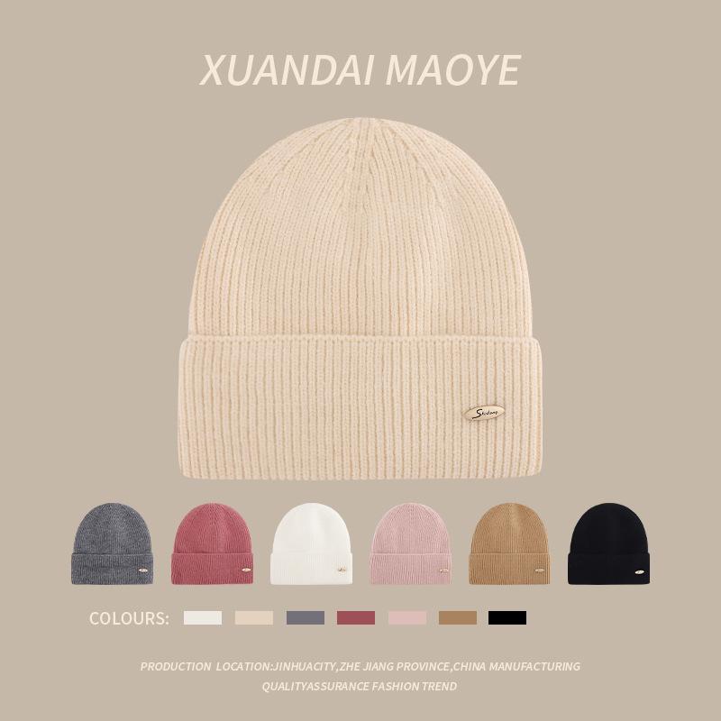 Autumn and Winter Casual Hats for Women Plush New Korean Knitted Hats Versatile Warm Ear Protection and Thickened Fashion Student