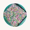 Pretty Flower Leaf Slices Mixed Clay Sprinkles Confetti Polymer Clay Slices Slime Supplies