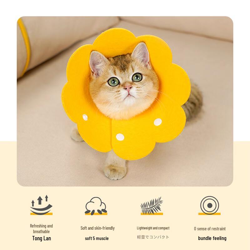 Soft Pet Recovery Collar