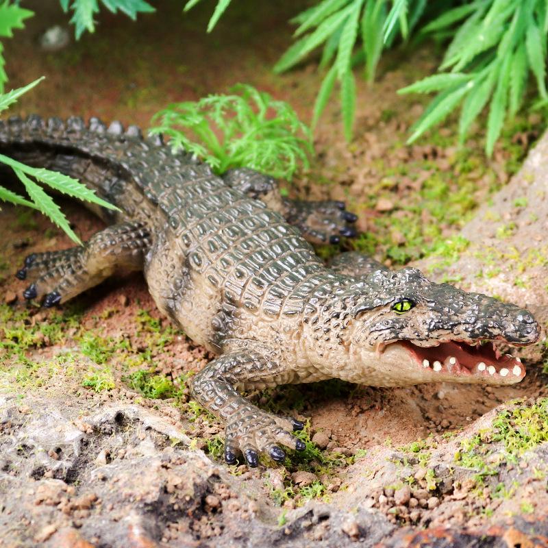 Wild Animal Model: Crocodile, Elephant, Yak, Antelope, Rhinoceros Plastic Toy Ornaments