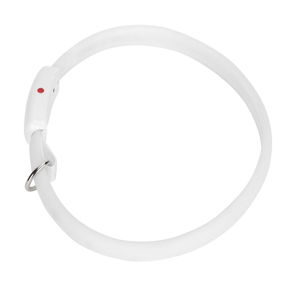 Collare per cani a LED Ricaricabile USB Colore della luce dinamico Regolabile Anello da collo per animali domestici Impermeabile