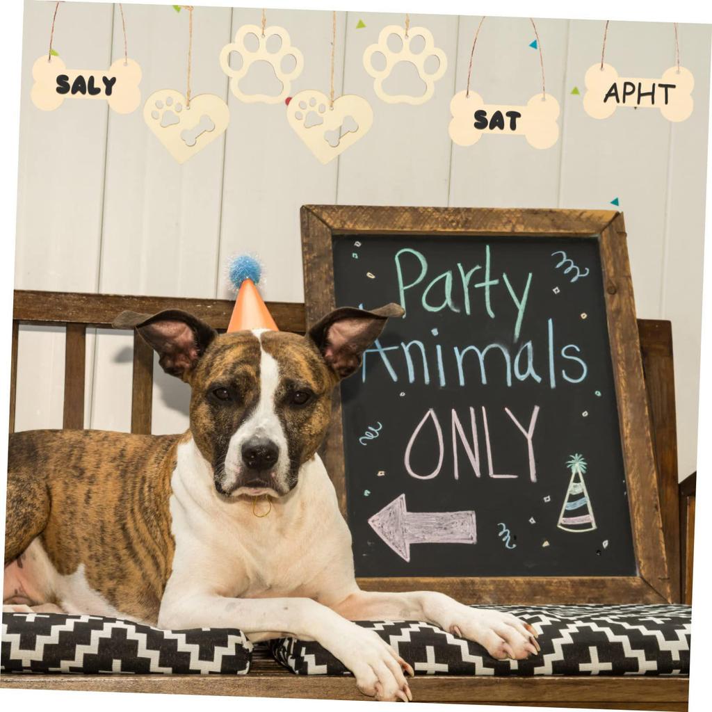 Bone & Paw Print Wooden Ornament Tag for Pet Crafts