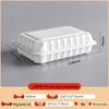 Biodegradable Three-Compartment Bento Box with Hinged Lid