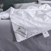 SILKUEEN Yun Xin Tussah Silk Quilt