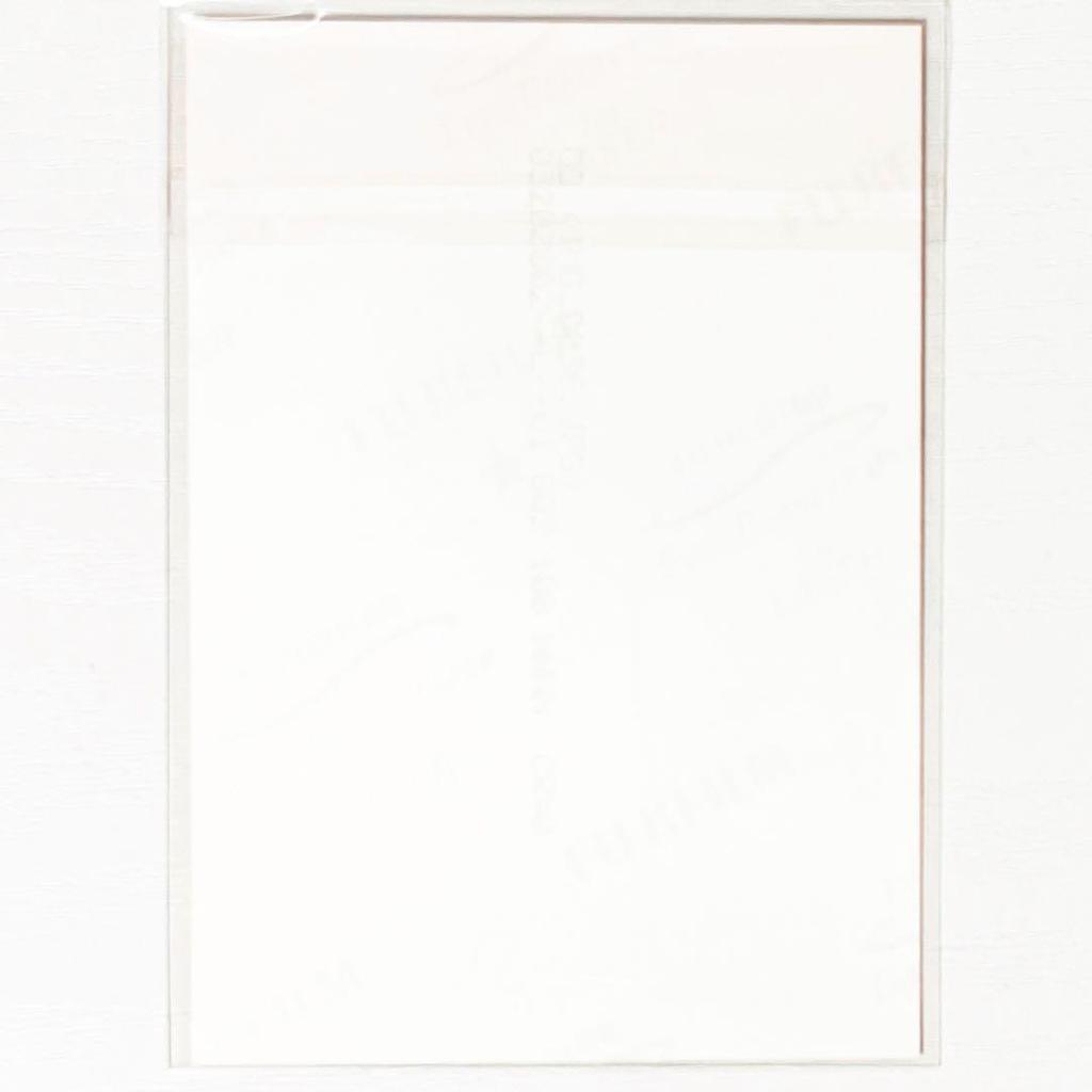 [USED] V-kei NEVERLAND Ryota HumaNOISE bonus bromide (1 piece)