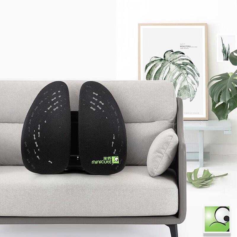 Miqiao Lumbar Support Cushion