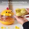 Egg Incubator Hatcher Machine Educational Experiment Practice Temperature Control Chicken