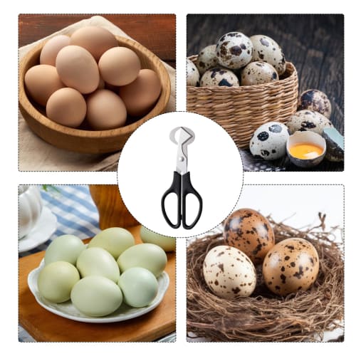 Quail Egg Scissors - Quail Egg Scissors - Stainless Steel Quail Egg Cutter | Quail Egg Cracker, Egg Shell Separator with Handle | Small Quail Egg Peel