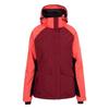 TRESPASS Womens/Ladies Ursula DLX Ski Jacket