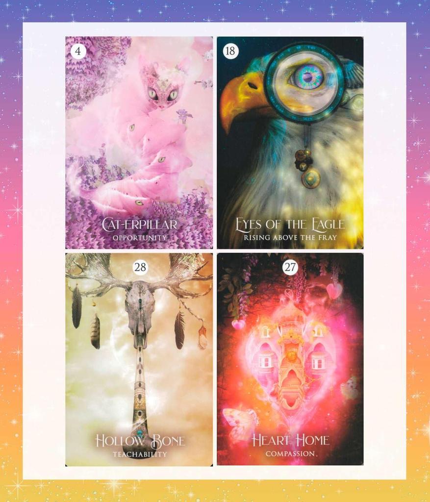 Dream Oracle with Japanese Explanation Manual Oracle Card Tarot Card Fortune Telling [Japanese Version] Shaman's [Genuine Product]