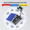 Leqi Industrial Electronic Weighing Scale with Barcode Printer (CN version)