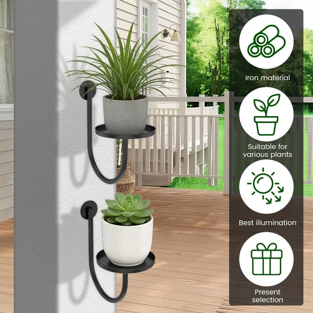 Bonsai Hanging Hanging Plant Stand Space Saving Planter Rack Storage Shelf  Window Placement