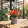 Pianta di Agave Tropicale Artificiale Simulazione Realistica Succulenta Decorativa Pianta Finta per Interno Esterno Esposizione Tavolino Casa Ufficio
