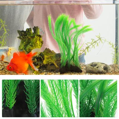 Fische & Meerestiere – Aquarien-Einrichtung