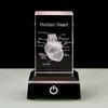 3D Lasers Etched Crystal Human Organs Model Anatomical Heart/Teeth Figurines Glass Paperweight with LED Base Doctor