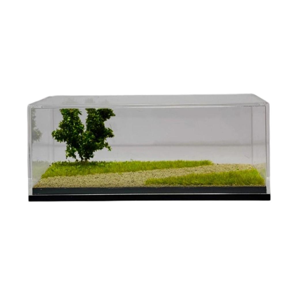 1/64 Diecast Model Car Display Case Dustproof Showcase Protection Collection Realistic Decoration