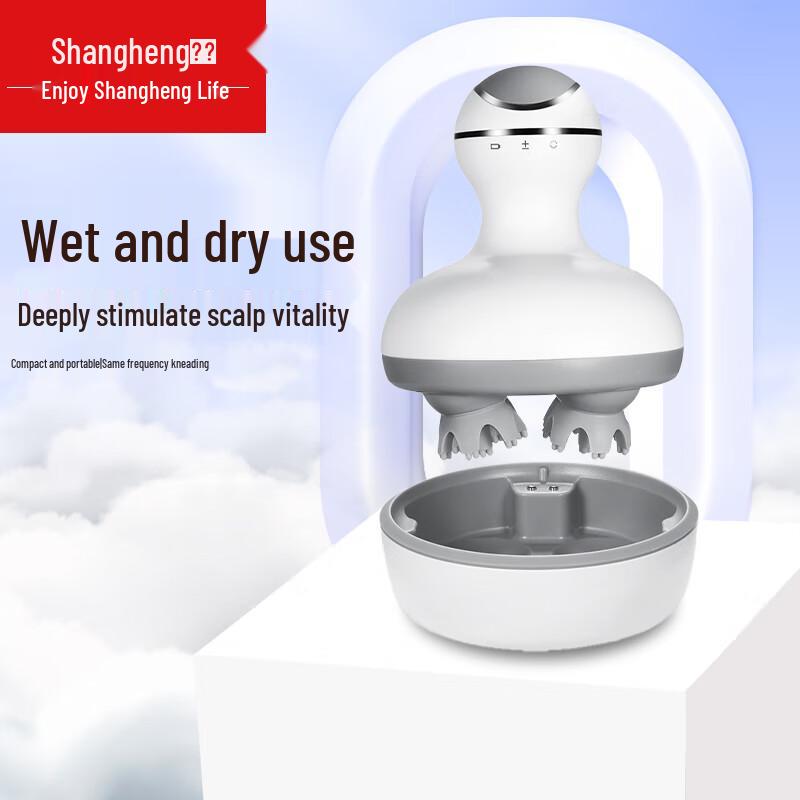 Shangheng Rechargeable Head Massager CN plug (adapter included)
