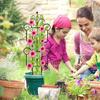 Plant Support Trellis for Rose, Tomato, Fruit and Vegetable Vine