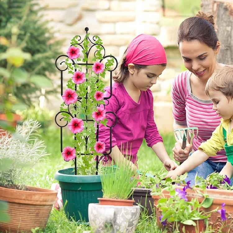 Plant Support Trellis for Rose, Tomato, Fruit and Vegetable Vine