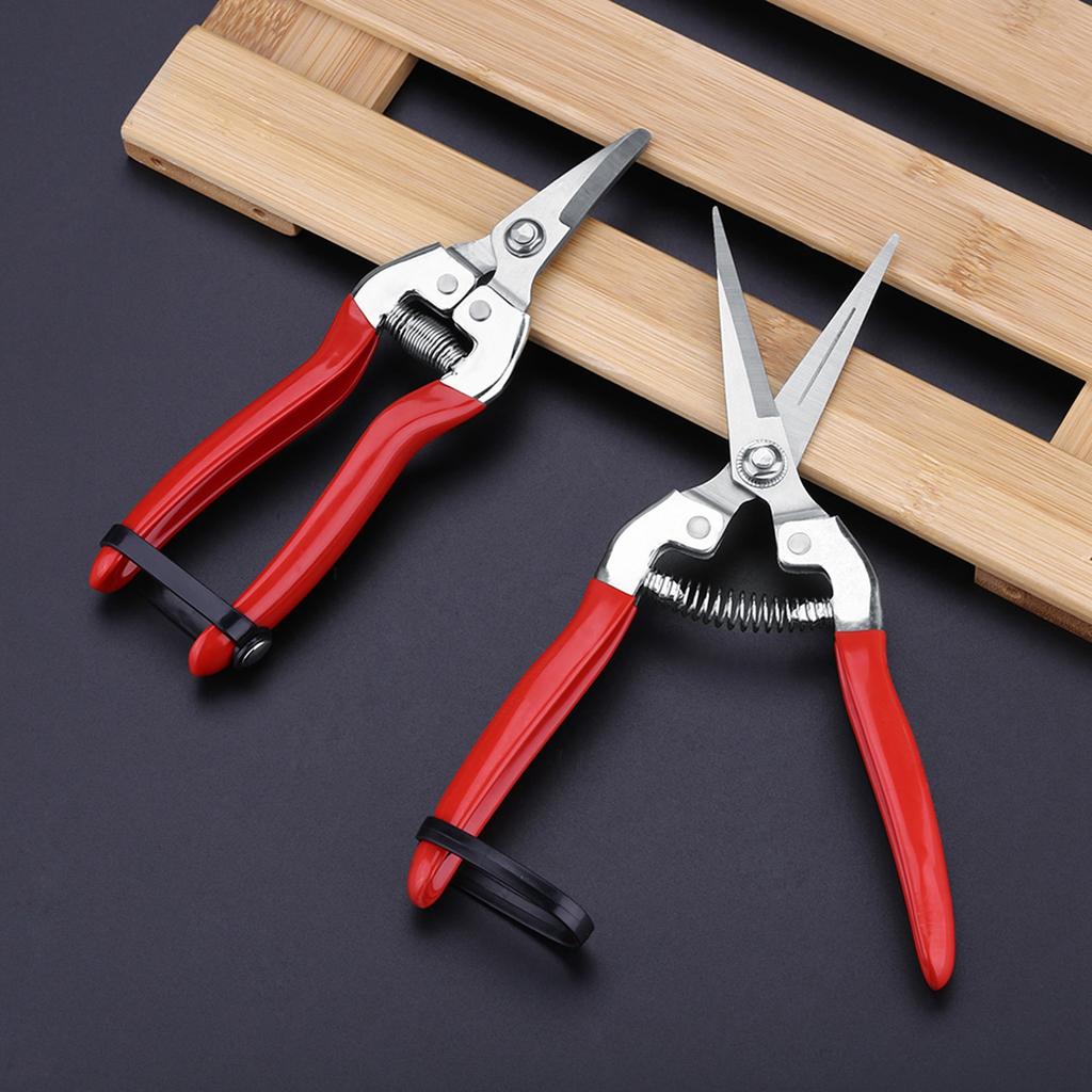 Plant Pruning Tool Made of Stainless Steel Sturdy / Durable Sharp Gardening Scissors For Fruit Tree / Bonsai Care