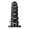 Fixed Round Head Dumbbell Set with Double-Layer Rack
