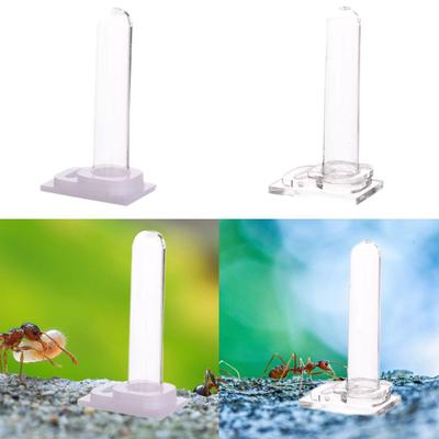 PET Water Cup Kit Easy To Clean Watering Stations Home Portable Test Tube PET Drinking Cup Drinking Container for Nest Entrance