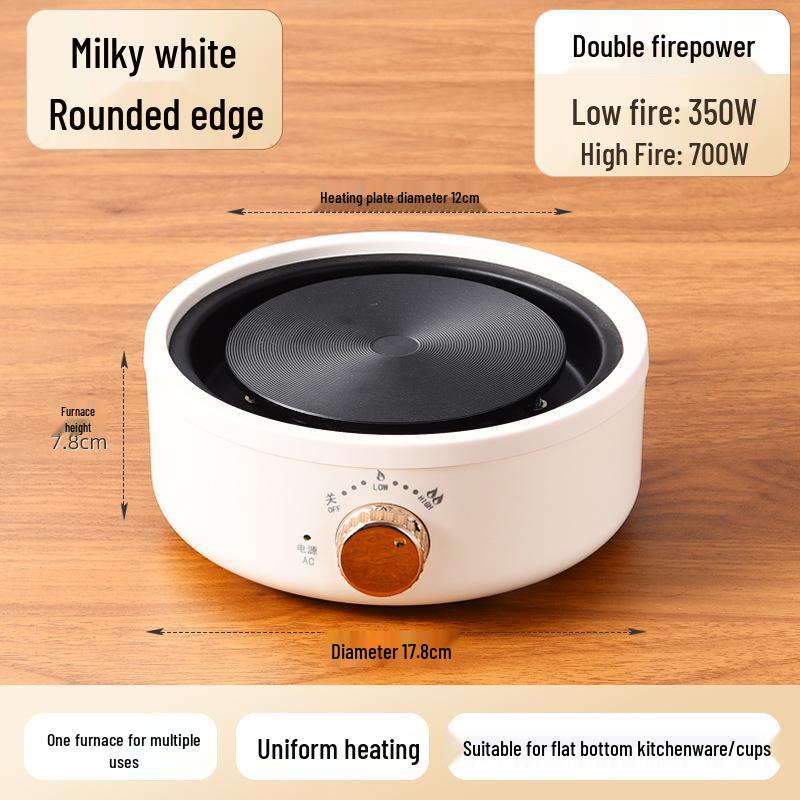 Multifunctional Mini Electric Teapot and Tea Brewer