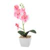 Luxurious Simulated Phalaenopsis Artificial Plant for Exclusive Boutiques