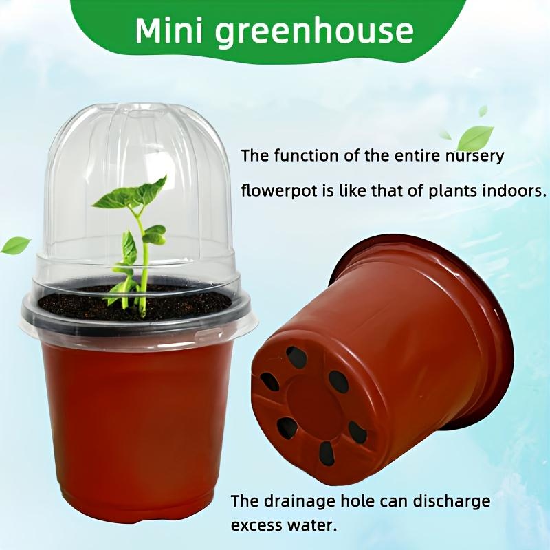 1set Soft Seedling Trays With Humidity Domes Dome Lids Drainage Holes Plastic Seed Starters For Seedlings Herbs Cacti Ferns