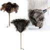 Feather Household Ostrich Duster With Handle For Efficient Dust Tool Removal