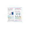 Brilliant More Whitening Double Natural Peppermint Toothpaste 90g Pack of 3