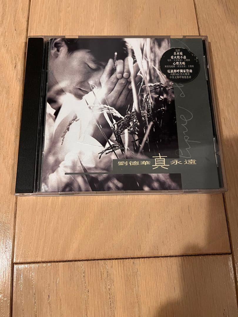 

[USED] Andy Lau Liu Dehua True Eternity CD