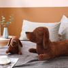 55/70/110cm Cartoon Dachshund Dog Plush Toy Plush Pillow Stuffed Plush Animals Girl Gifts Toys for Children Home Decor