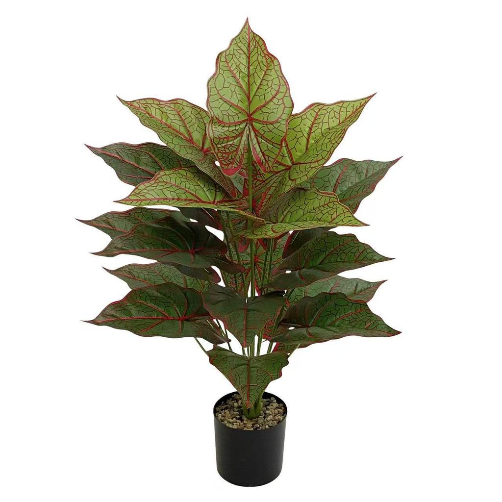 Nordic Style Taro Leaf Green Plant for Home Decor and Garden Landscaping