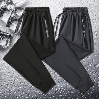 Men's Plus Size Summer Ice-Silk Quick-Dry Elastic Breathable Pants