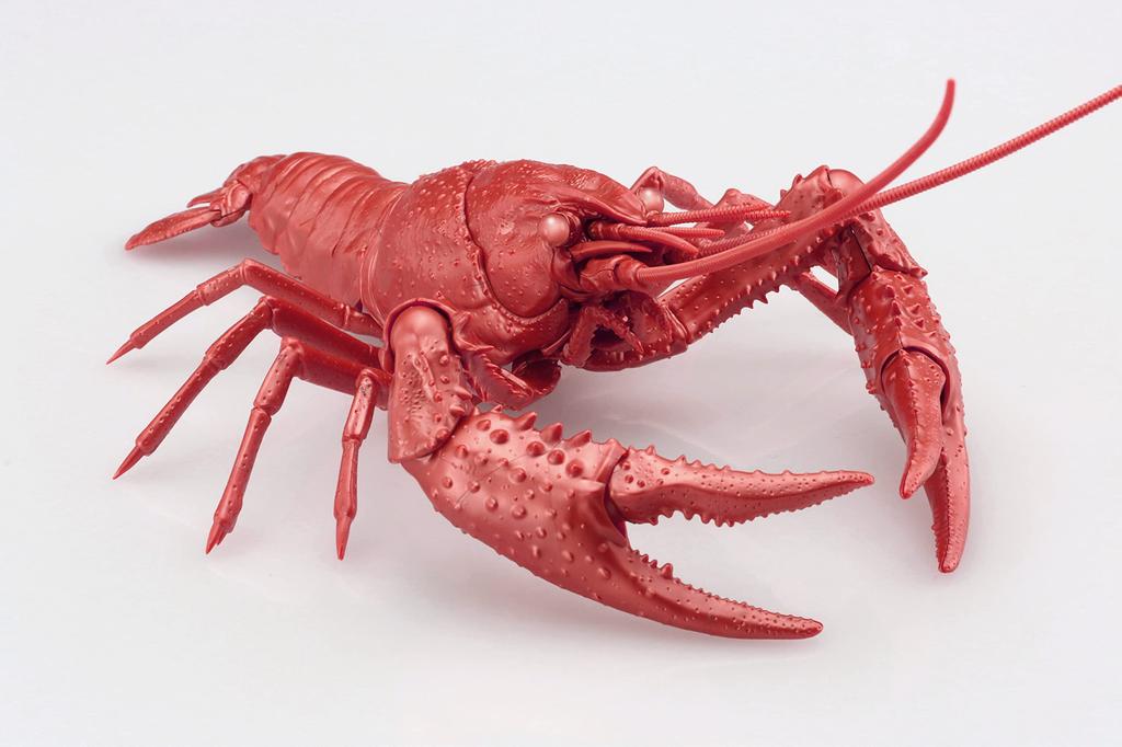 Fujimi Models Science Project Series 24 Living Creatures American Crayfish Science No. EX-6 (Metallic Red) Project-24 EX-6