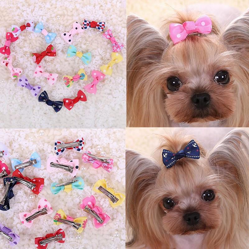 handmade pet accessories