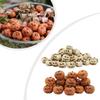 Resin Mini For Halloween Pumpkins with Grimace Faces Set of 20 for DIY Crafts Seasonal Decor and Dollhouse Accessories