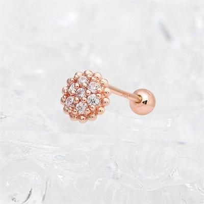 Smycken – Piercing