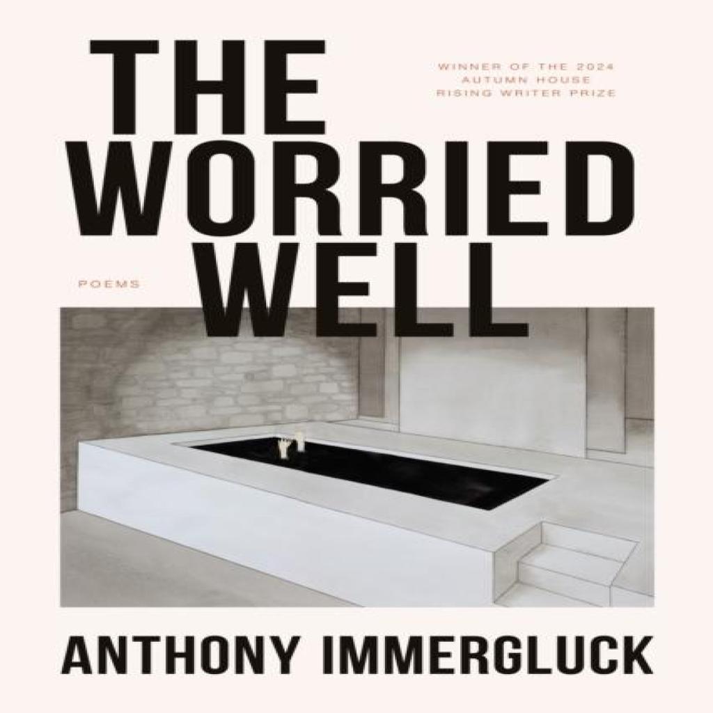 The Worried Well by Anthony Immergluck Paperback Book 9781637681039